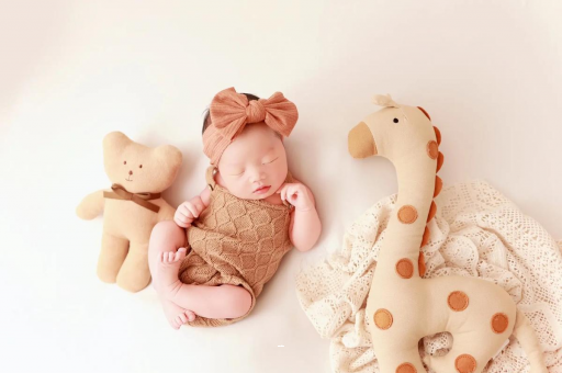 南城宝宝虾的做法